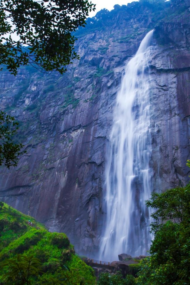 20200805_15966115693059.jpeg dbbcd5c304484284863d8e094df76ca3.jpeg