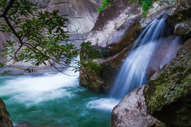 20200805_15966113945985.jpeg 140f6a0c80a2406ebfdd3ed07bfcdf12.jpeg